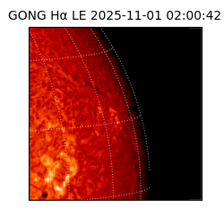gong - 2025-11-01T02:00:42