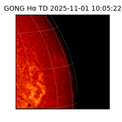 gong - 2025-11-01T10:05:22