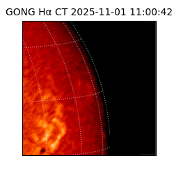 gong - 2025-11-01T11:00:42