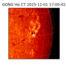 gong - 2025-11-01T17:00:42