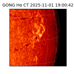 gong - 2025-11-01T19:00:42