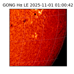 gong - 2025-11-01T01:00:42