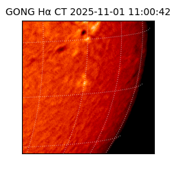 gong - 2025-11-01T11:00:42