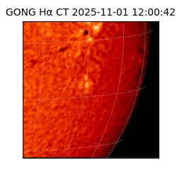 gong - 2025-11-01T12:00:42