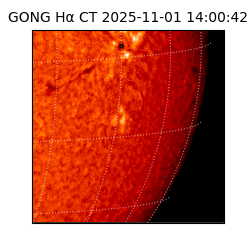 gong - 2025-11-01T14:00:42