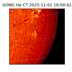 gong - 2025-11-01T16:00:42