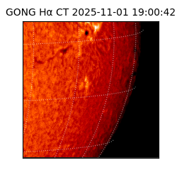 gong - 2025-11-01T19:00:42