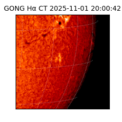 gong - 2025-11-01T20:00:42
