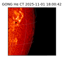 gong - 2025-11-01T18:00:42
