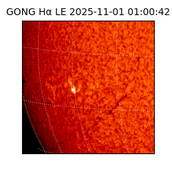 gong - 2025-11-01T01:00:42