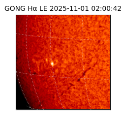 gong - 2025-11-01T02:00:42