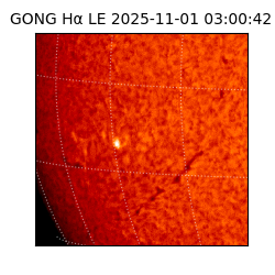gong - 2025-11-01T03:00:42