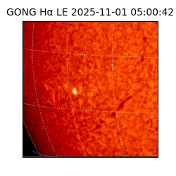 gong - 2025-11-01T05:00:42