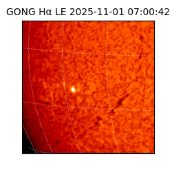 gong - 2025-11-01T07:00:42