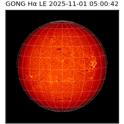 gong - 2025-11-01T05:00:42