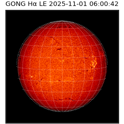 gong - 2025-11-01T06:00:42