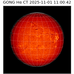 gong - 2025-11-01T11:00:42