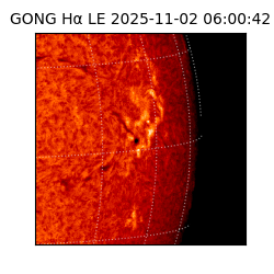 gong - 2025-11-02T06:00:42