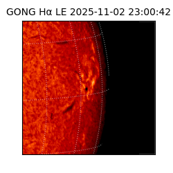 gong - 2025-11-02T23:00:42