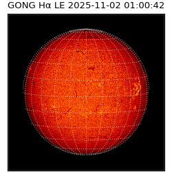 gong - 2025-11-02T01:00:42