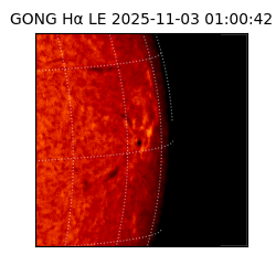 gong - 2025-11-03T01:00:42