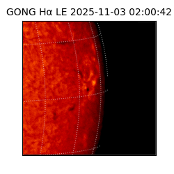 gong - 2025-11-03T02:00:42