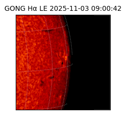 gong - 2025-11-03T09:00:42