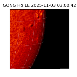 gong - 2025-11-03T03:00:42