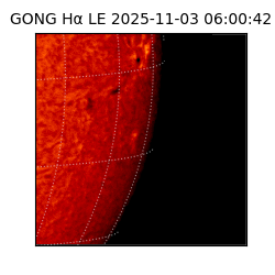 gong - 2025-11-03T06:00:42