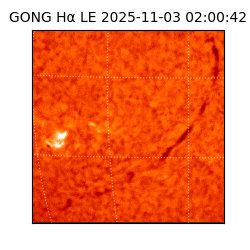 gong - 2025-11-03T02:00:42