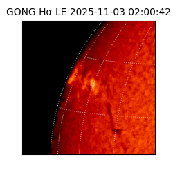 gong - 2025-11-03T02:00:42
