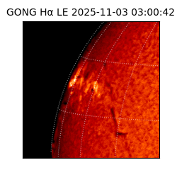 gong - 2025-11-03T03:00:42