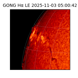 gong - 2025-11-03T05:00:42