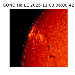 gong - 2025-11-03T06:00:42