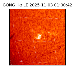 gong - 2025-11-03T01:00:42