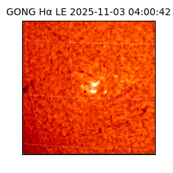 gong - 2025-11-03T04:00:42