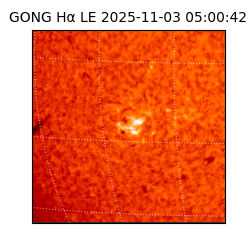 gong - 2025-11-03T05:00:42