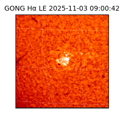 gong - 2025-11-03T09:00:42