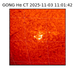 gong - 2025-11-03T11:01:42