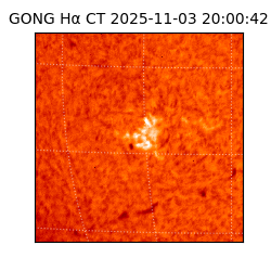 gong - 2025-11-03T20:00:42