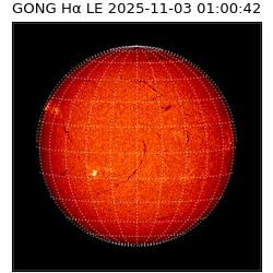 gong - 2025-11-03T01:00:42
