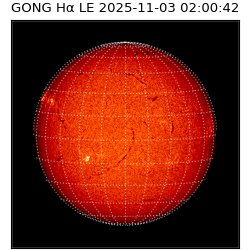 gong - 2025-11-03T02:00:42
