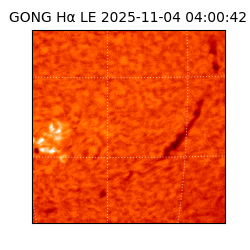 gong - 2025-11-04T04:00:42