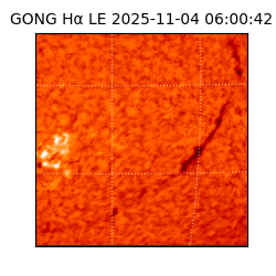 gong - 2025-11-04T06:00:42