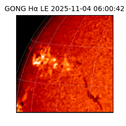 gong - 2025-11-04T06:00:42