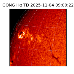 gong - 2025-11-04T09:00:22