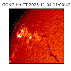 gong - 2025-11-04T11:00:42