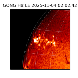 gong - 2025-11-04T02:02:42