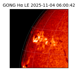 gong - 2025-11-04T06:00:42