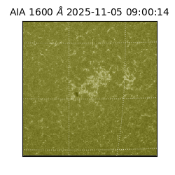 saia - 2025-11-05T09:00:14.118000